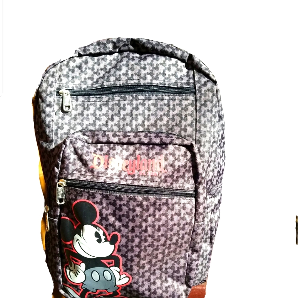 Disney park backpack